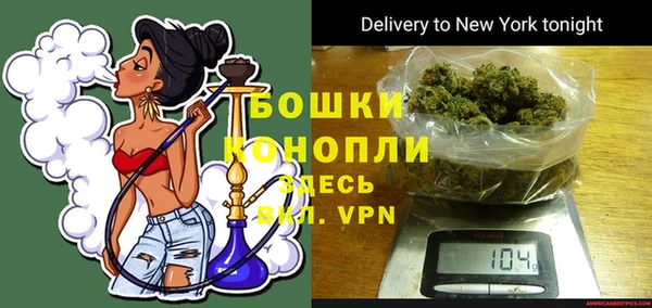 PSILOCYBIN Богородск