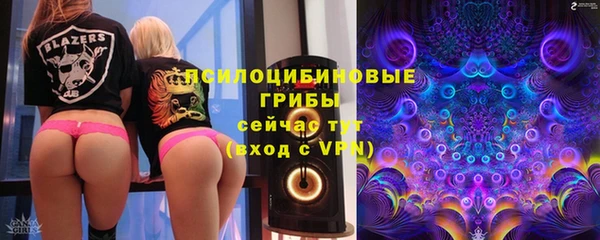 PSILOCYBIN Богородск