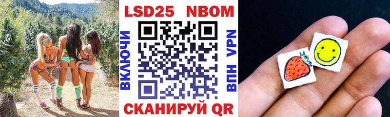 Наркотические марки 1,5мг  Купить закладки  Нестеров 